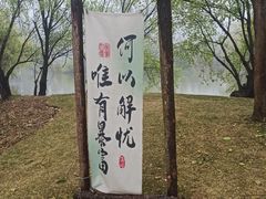 -长兴太湖图影湿地文化园