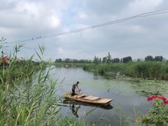 -白洋淀景区