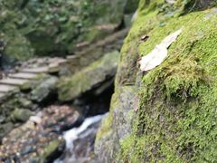 -藏龙百瀑风景区