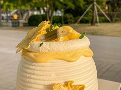 -卷心卷意·轻甜蛋糕(新光天地店)