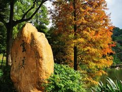 -云溪植物园