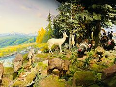 -陕西自然博物馆