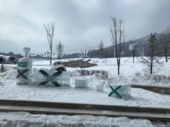 -长白山凯悦酒店·市集咖啡厅