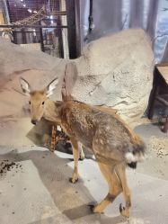 -酷嗒动物文化乐园(cutezoo西溪乐天城店)