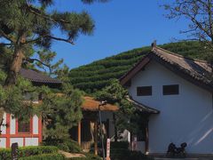 -径山寺