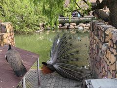 -金庭庄园酒店-停车场