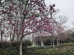 -杭州城北体育公园