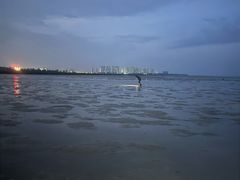 -红树林天天赶海