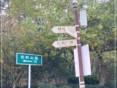 -北岭山森林公园