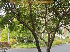 -浙江西子宾馆·瑶园咖啡厅