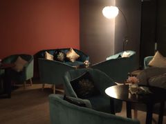 -璞·澐间影院式足道SPA(尚悦湾店)