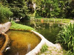 -成都市活水公园