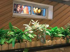 -新澳港式茶餐厅(余姚路店)