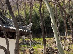 -石老人观光园