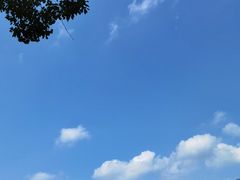-七寨湖公园