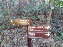 -石排湾郊野公园