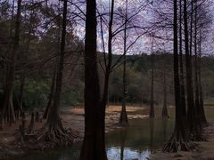 -广州市白云山风景名胜区
