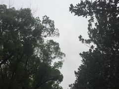 -中天钢铁体育馆(南一门店)