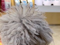 -美联众合动物医院·24h转诊中心