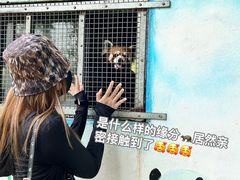-苏州太湖西山岛开心农场