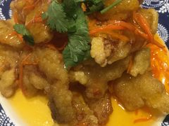 -邵年鸽(杨庄店)