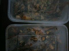 -鸿运兔·手撕烤兔(天府广场店)