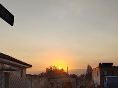 -上海佘山国家森林公园天马山园