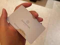 -汕头龙光喜来登酒店