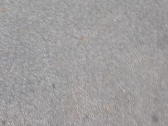 -上足·影院足道·SPA(红岭店)