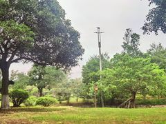 -南宁花花大世界景区