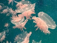 -多彩贵州城极地海洋世界