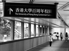 -香港大学