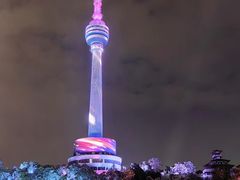 -龟山风景区-龟山电视塔