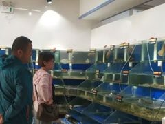 -雅逸居海鲜小厨