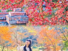 -田野绿世界