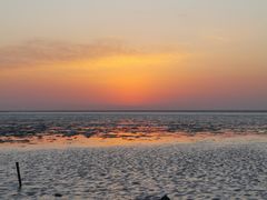 -上海棕榈滩海景酒店