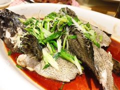 清蒸东星斑-雍景湾大酒楼(怡翠花园店)