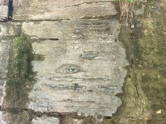 -房山世界地质公园博物馆