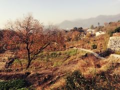 -塔川景区