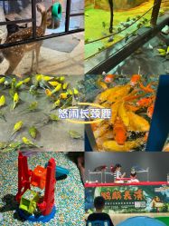 -酷嗒动物文化乐园(cutezoo西溪乐天城店)