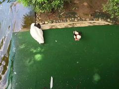 -九龙公园