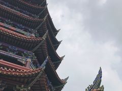 -铁山坪森林公园