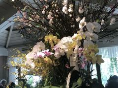 -春暖花开(西溪店)