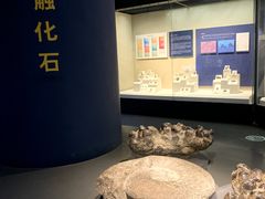 -天津自然博物馆