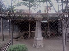 -罔极寺