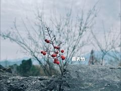 -台州府城(江南长城)