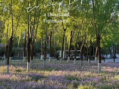 -东升八家郊野公园