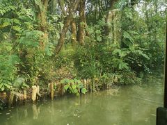 -同里国家湿地公园