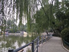 -莲湖公园