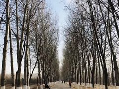 -东郊湿地公园